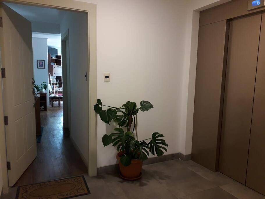 Departamento En Mundo Luna Apartamento